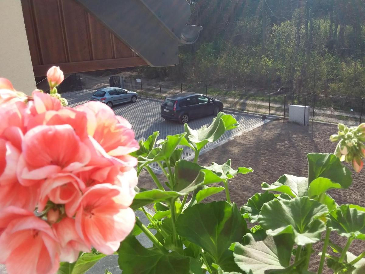 Dworek Akacja Uslugi Hotelarskie Janowiec Exterior photo